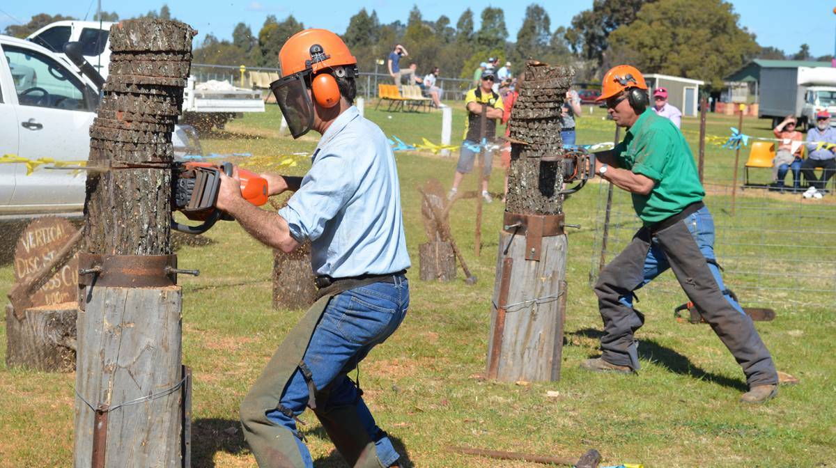 FORBES: Expert chainsaw operators show their skills at last year's Eugowra Show.