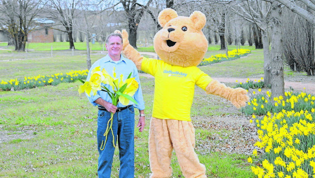 ORANGE: Barry Spilstead with Cancer Council’s mascot Dougal Bear in the lead-up to Daffodil Day on Friday. Photo: STEVE GOSCH