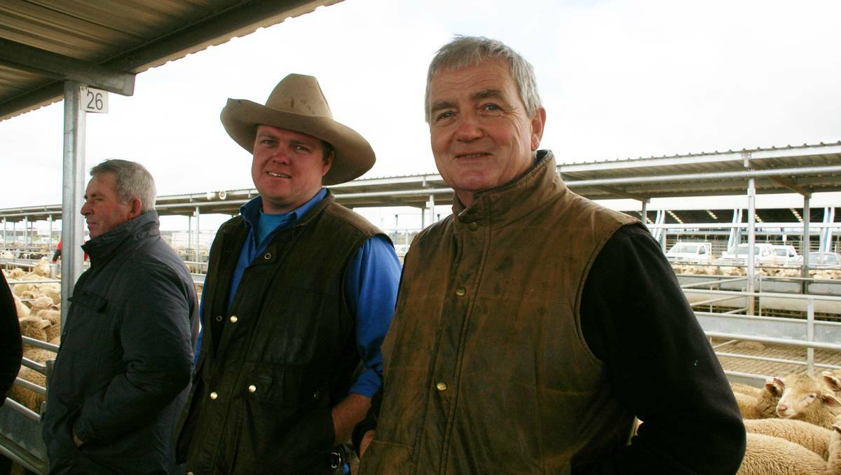 FORBES: Tom and Michael Green, pictured at Forbes’ Central West Livestock Exchange on Tuesday, are optimistic about the remainder of the grain growing ­and livestock season.