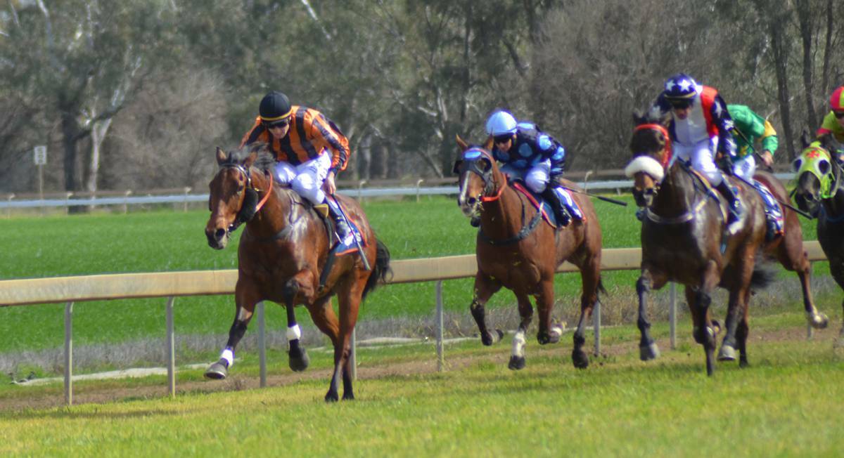 FORBES Youbetiwin leads the field in race two on Monday.