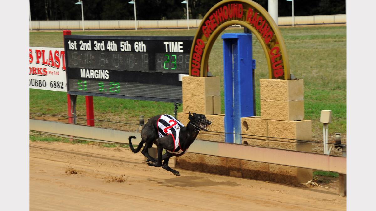 One Bad Wrist took out the Steve Kavanagh Appeciation Stakes (400m) at Dawson Park yesterday.			   Photos: BELINDA SOOLE