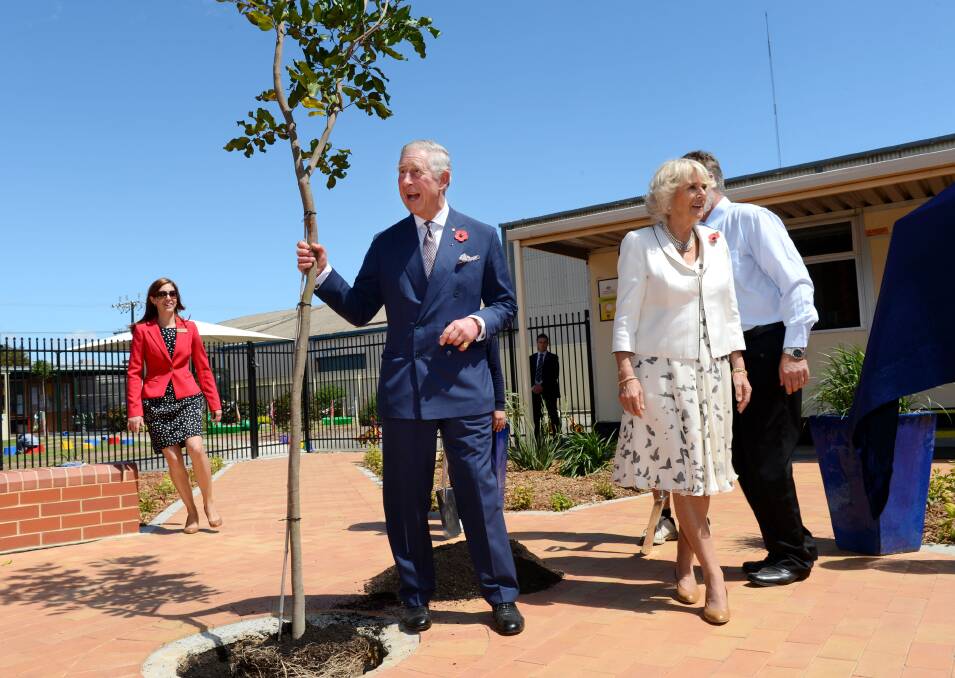 Prince Charles, Prince of Wales and Camilla, Duchess of Cornwall plant a tree after inspecting student gardens during a visit to Kilkenny Primary School on November 7, 2012 in Adelaide, Australia. Photo by Tracey Nearmy-Pool/Getty Images