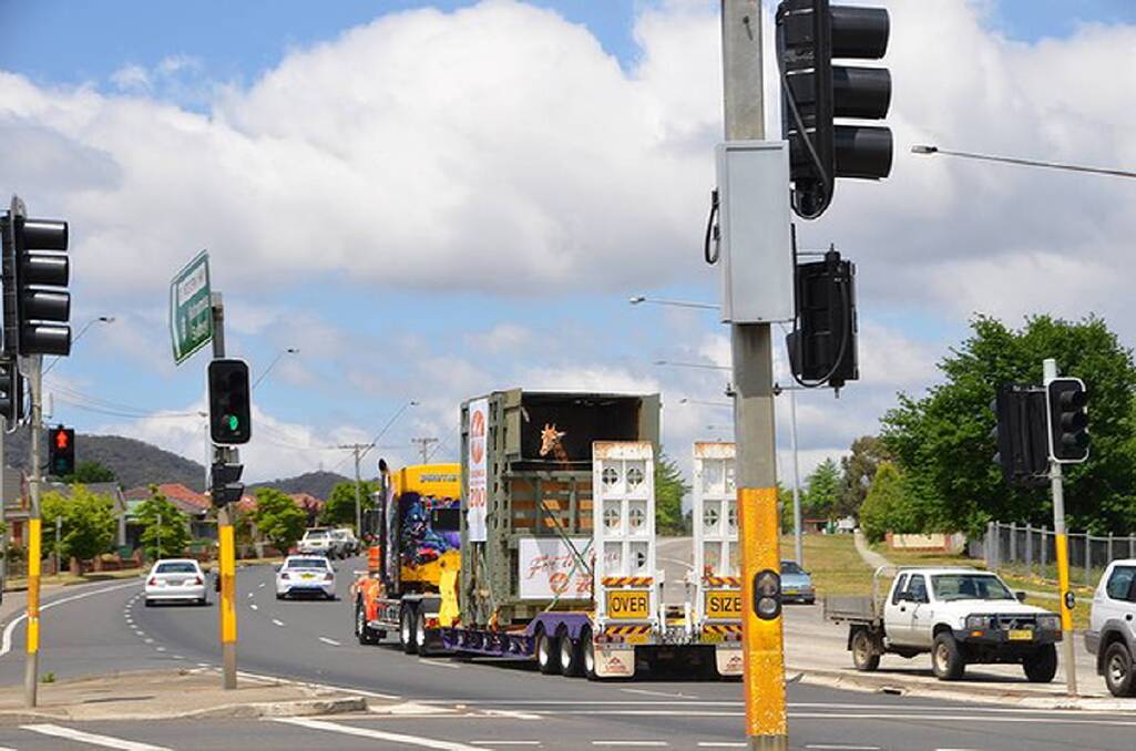 The Great Western Highway at Lithgow. Kitoto, the newest member of Taronga's Giraffe herd, travels by road from Dubbo in her custom-built travelling crate. Photo: Lithgow Mercury
