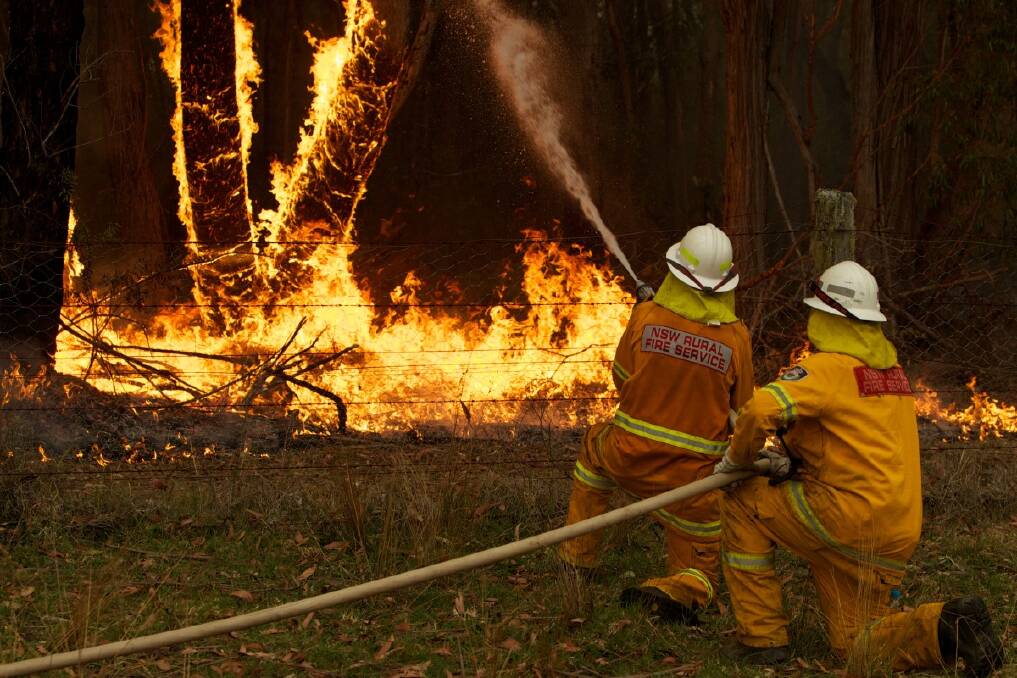 NSW RFS Crews in Bilpin commence a back burning operation in an effort to strengthen containment lines as they fight the Lithgow State Mine fire. Photo: Wolter Peeters 