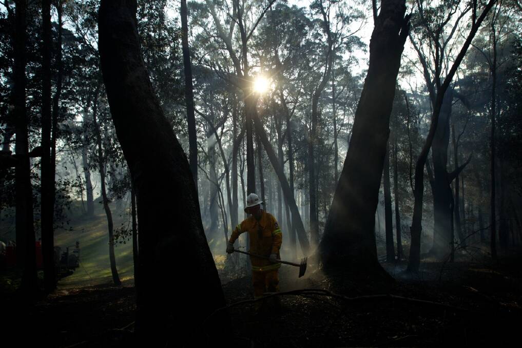 NSW RFS crew from Kurrajong Brigade work to extinguish a fire which has flared up around the State Mine fire near Berambing. Photo: Wolter Peeters 