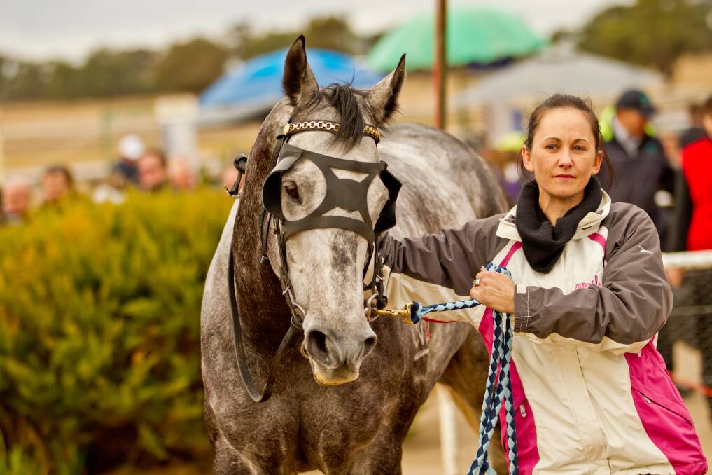 Spectacular Iam, trained by Kylie Kennedy, won the Western Racing Association Horse of the Year award on Saturday night.  Photo: JANIAN McMILLAN (www.racing.photography.com.au)