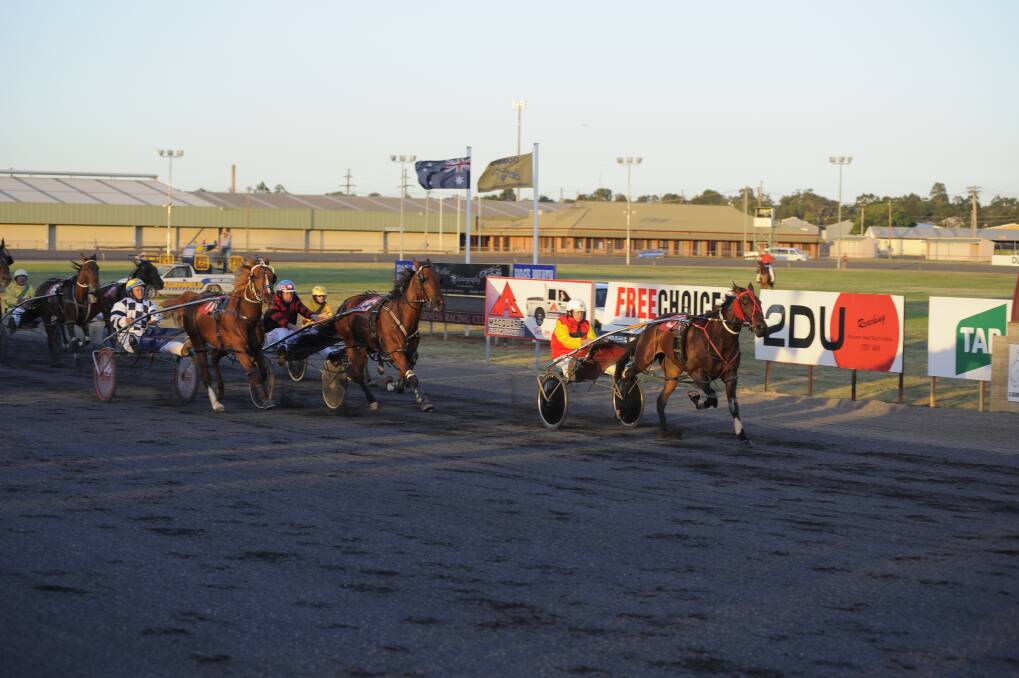 The Kissing Bandit holds off Rattlen Ranji and Looks To Kill to win at Dubbo's big Boxing Night trots program on Wednesday.	Photo: BELINDA SOOLE