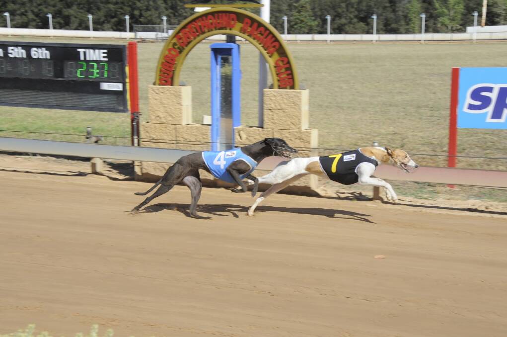 Lil's Me Nan holds off the determined finish of Lil Miss Mohawk at Dawson Park yesterday.			   Photo: BELINDA SOOLE