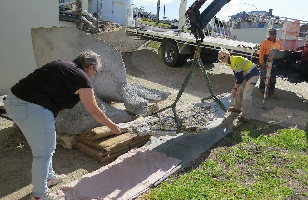 Anderson Cranes transport the sperm whale skull back to the Eden Killer Whale Museum. Pictured left to right: Stephanie Rawlings (the museum's curatorial assistant), Sylvia and Mick Anderson. Picture by Angela George. 