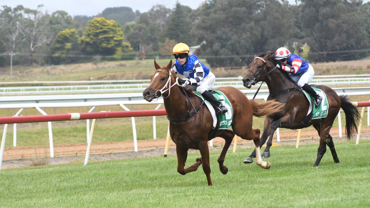 SUPERB START: Clint Lundholm's Raging Rush got the trainers day off to a great start in Orange. Picture: JUDE KEOGH