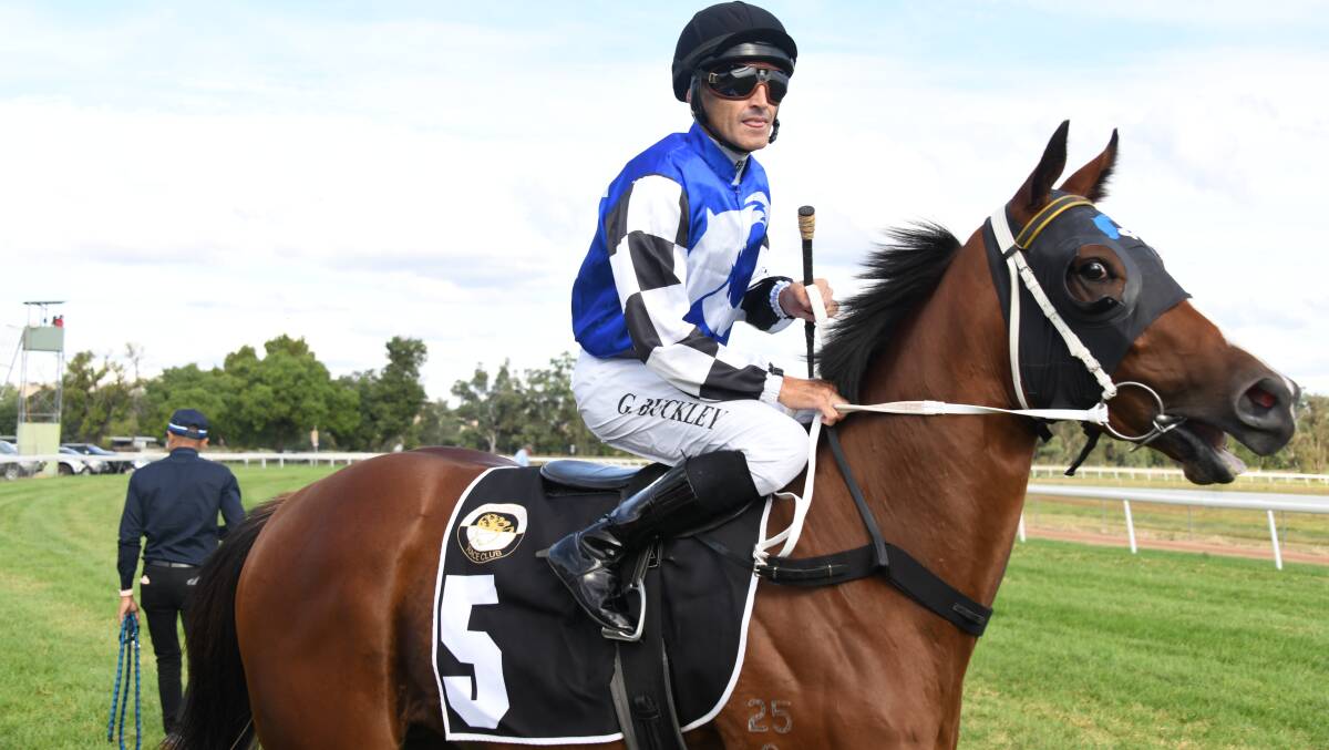 Grant Buckley, pictured previously at Wellington, will ride for Garry Lunn at Dubbo on Friday. Picture by Amy McIntyre