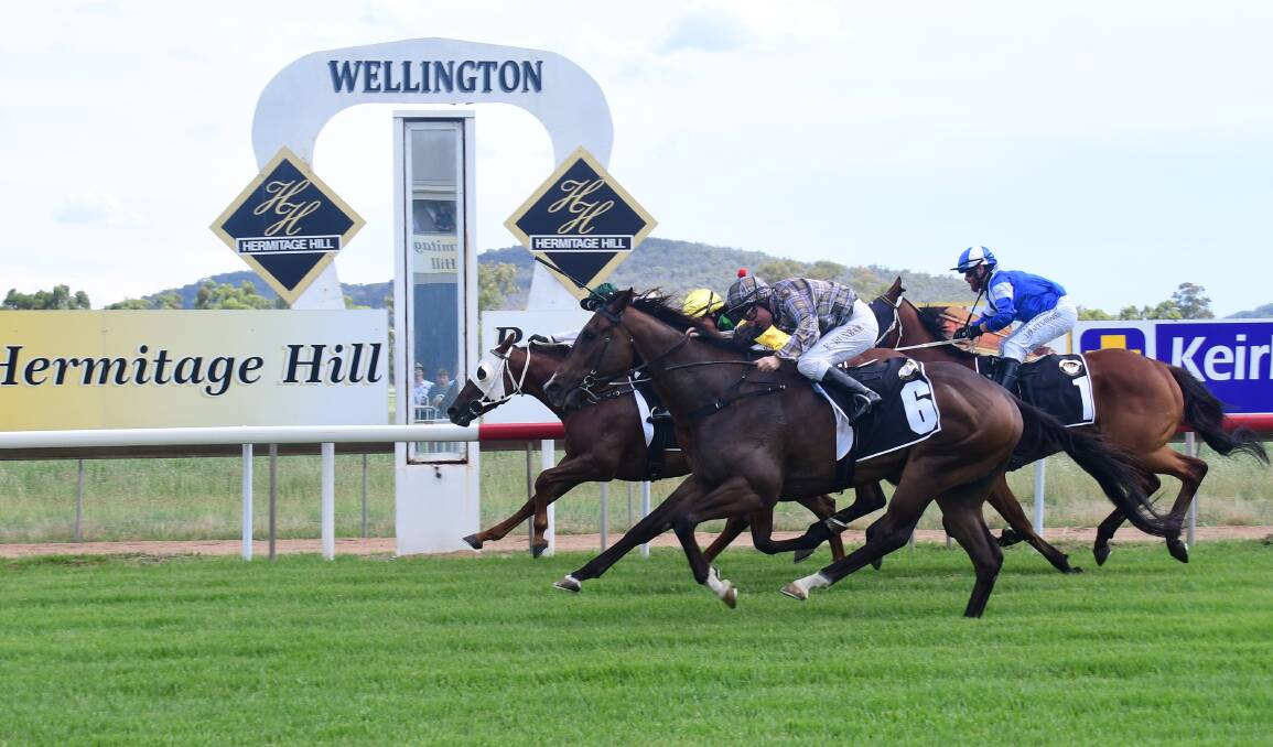 BACK ON: Wellington is set to host seven-races on Saturday afternoon. Picture: AMY MCINTYRE