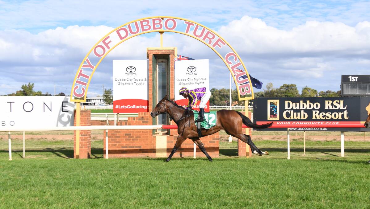 Marillier won the Silver Goblet preview last month and will run again on Friday at Dubbo Turf Club. Picture: Amy McIntyre