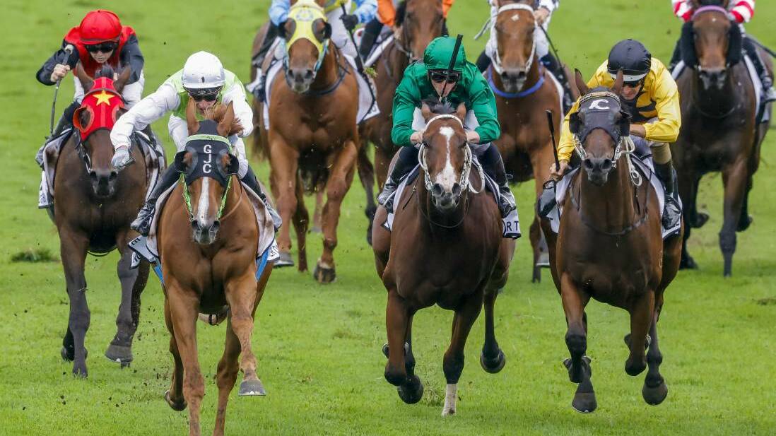 BACK AT IT: Clint Lundholm's Amulet Street (right) will run again at Royal Randwick on Saturday. Picture: JENNY EVANS/GETTY IMAGES