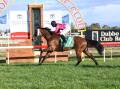 Dean Mirfin's Island Press enjoyed a comfortable win at Dubbo Turf Club on Sunday. Picture: Amy McIntyre