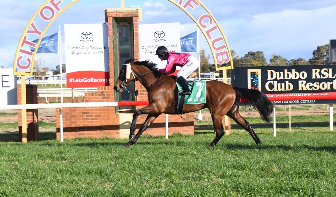 Gallery: Island Press wins the Dubbo Cup Prelude. Pictures: Amy McIntyre