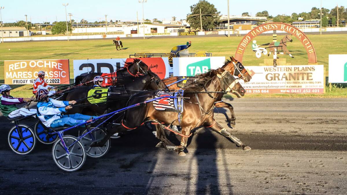 Fays Delight scored a nail-biting win on Friday night at Dubbo Showground. Picture by Coffee Photography