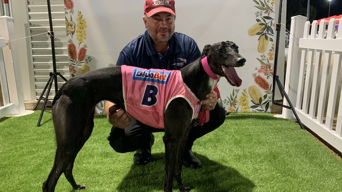 Trainer Mark Delbridge with Valor Bale after they secured a spot in the 2023 Country Classic at Dawson Park. Picture by Dubbo Greyhound Racing
