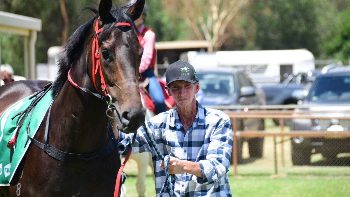 LEGEND: Dubbo trainer Dar Lunn will have a few of his horses run on Sunday at his home track. Picture: AMY MCINTYRE
