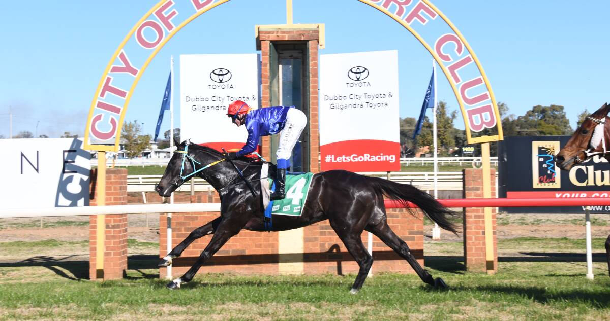 After winning at Dubbo last month, Brett Robb's Dalavin will race again on Sunday in the Cup Prelude. Picture: Amy McIntyre