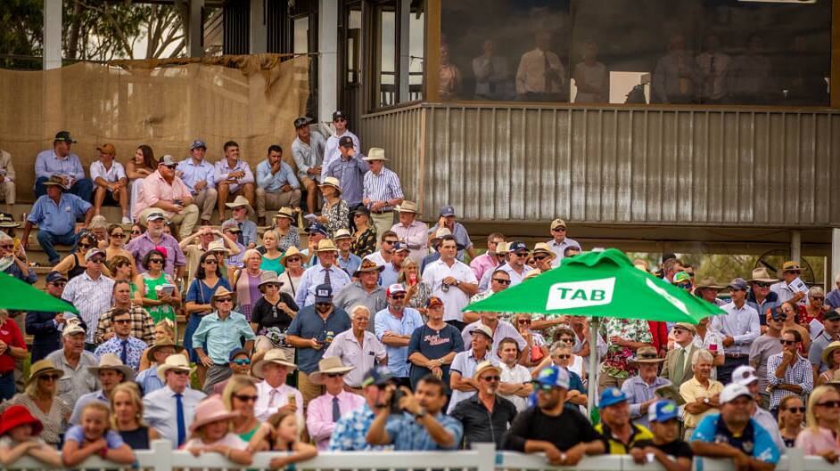Coonamble Jockey Club has a knack of attracting big crowds to their races. Picture by Samantha Thompson
