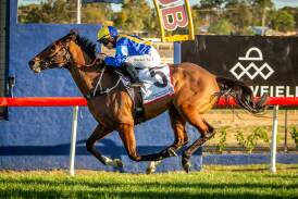 Bjorn Baker's Iknowastar took out the Dubbo Gold Cup last Sunday. Picture by Racing Photography