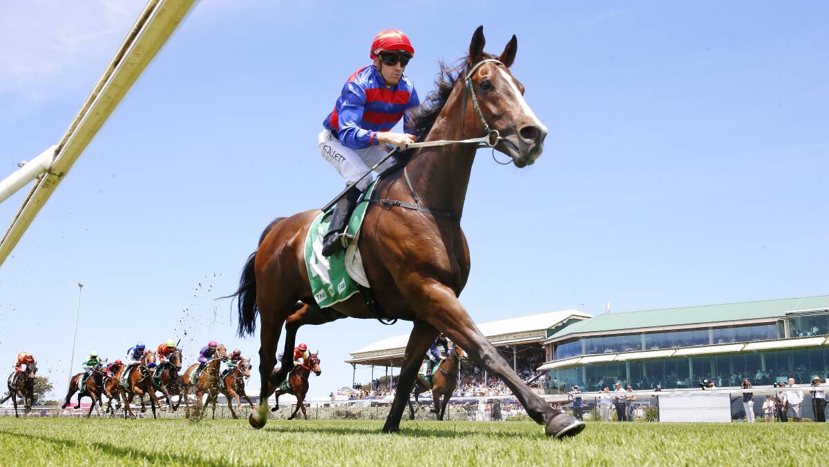 The Garry Lunn-trained Knife's Edge will contest the Coonabarabran Cup on Friday. Picture by Mark Evans/Getty Images
