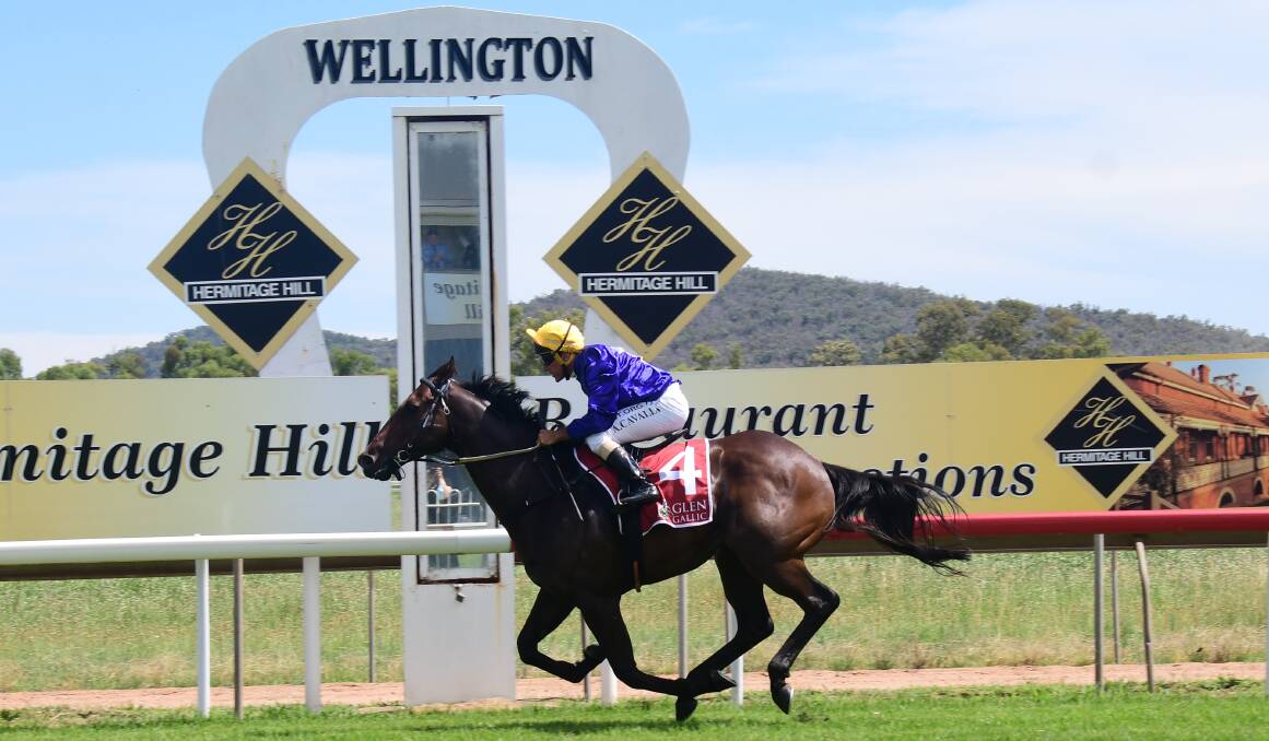 DOMINANT: Anthony Cavallo rode Byzantium to a comfortable victory on Boxing Day at Wellington Race Club. Picture: AMY MCINTYRE