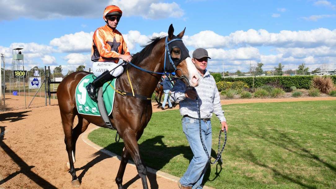 UNBELIEVABLE: Brett Robb pictured at Dubbo last year has a strong chance with On A Promise at Coonamble next month. Photo: AMY MCINTYRE