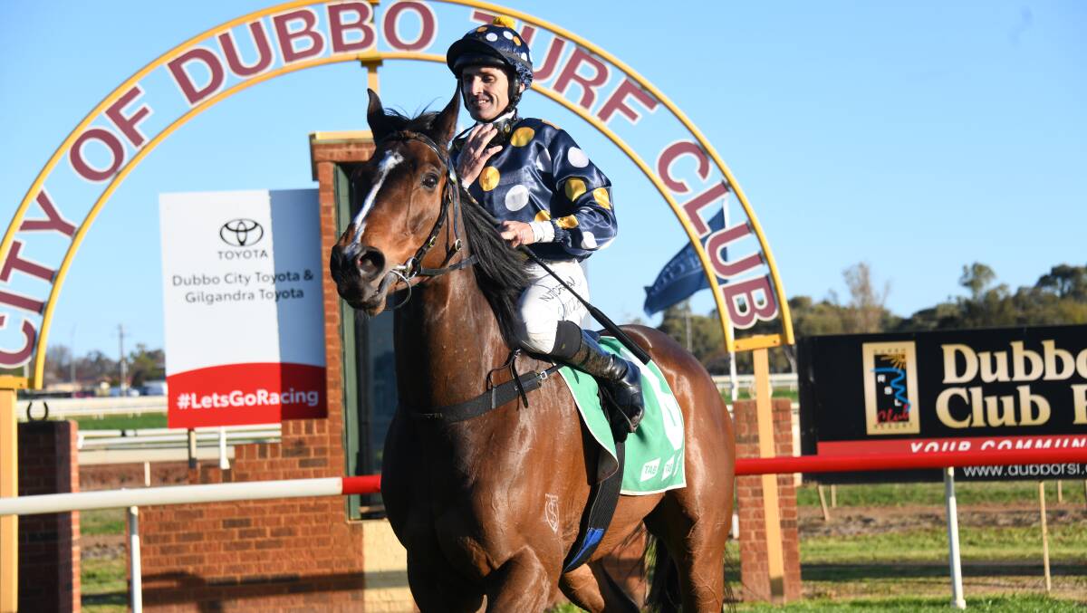 Jan Bowen's Casino Kid won the 2022 Dubbo City Toyota Gold Cup, the race will be run against in less than two weeks. Picture by Amy McIntyre