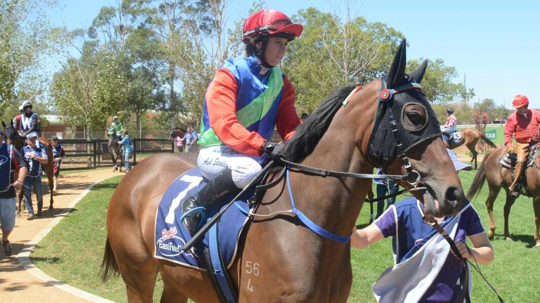 FOCUSED: Ashley Stanley will ride two of her fathers horses at Wellington on Monday afternoon. Picture: NICK GUTHRIE