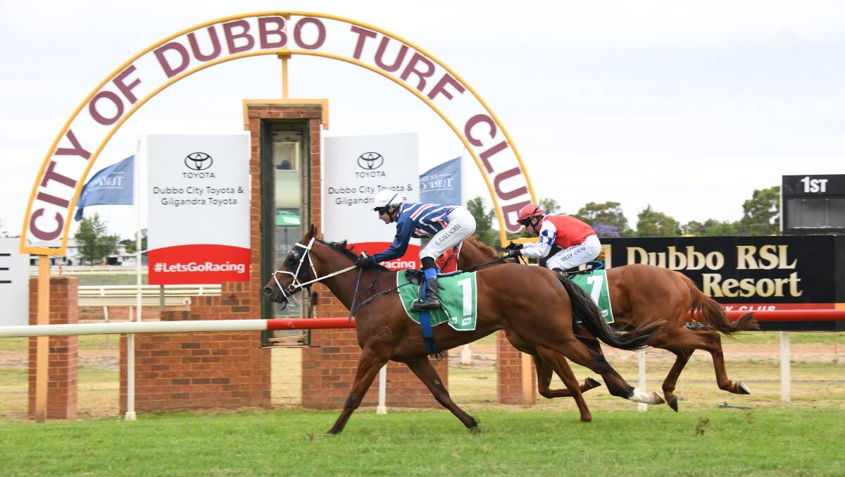 Dubbo Turf Club will host an exciting new race meeting next month, the Queen of the West. Picture by Amy McIntyre