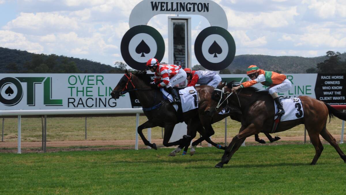 Wellington Race Club will host two massive days of racing this week. Picture by Tom Barber