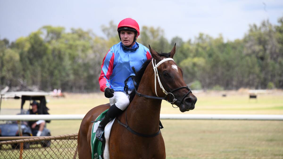 Clayton Gallagher and Speed Match won at Gilgandra on Saturday. Picture by Amy McIntyre