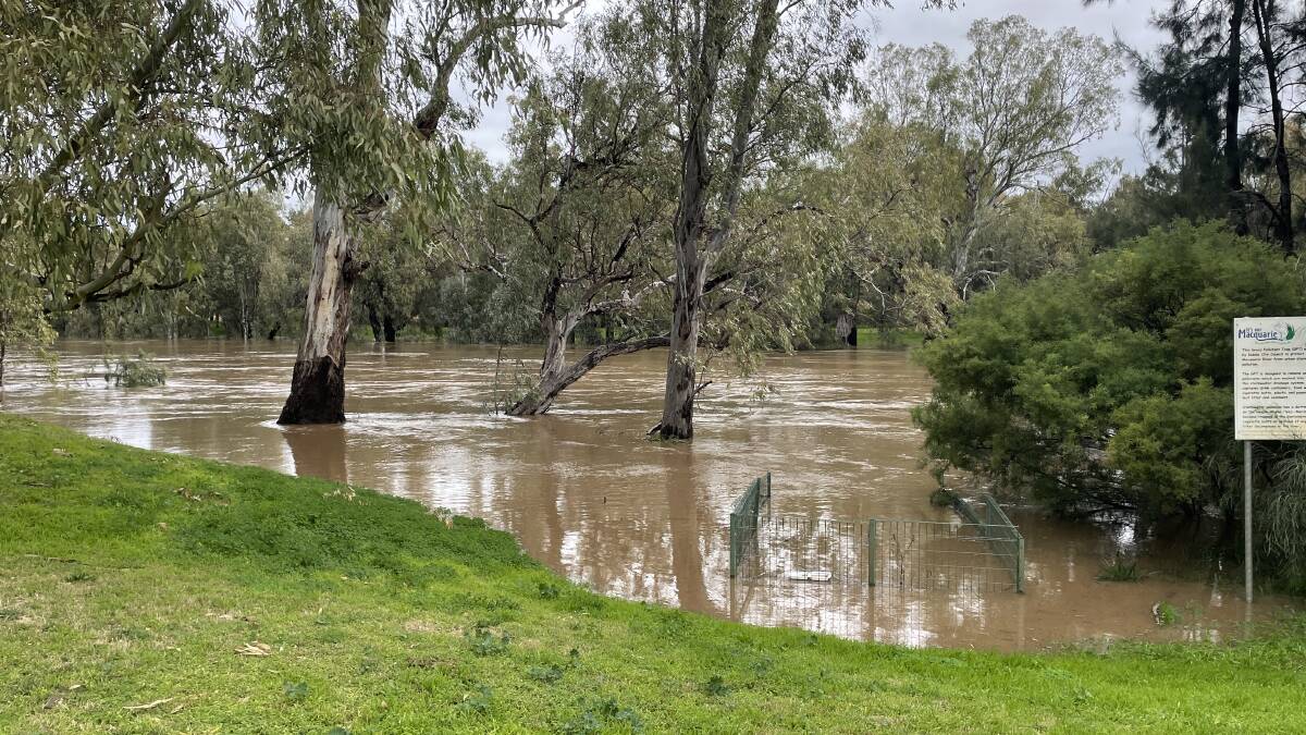 GALLERY: Macquarie River rises in Dubbo. Pictures: Tom Barber