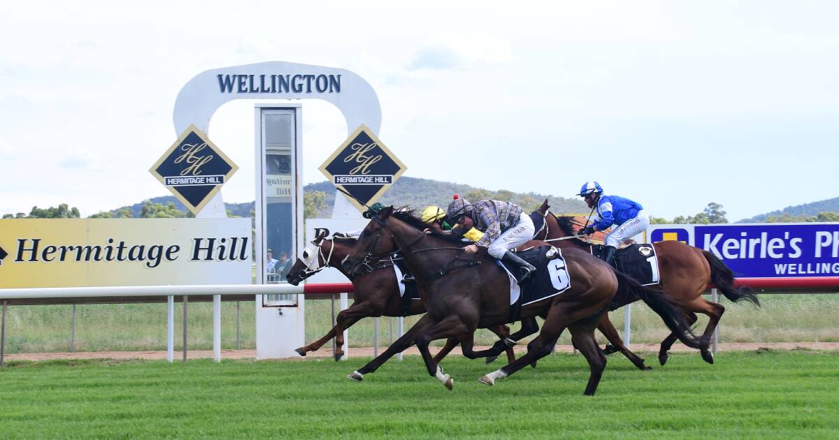 Wellington Race Club will host their annual Boxing Day meeting just more than a month after being affected by floods. Picture by Amy McIntyre