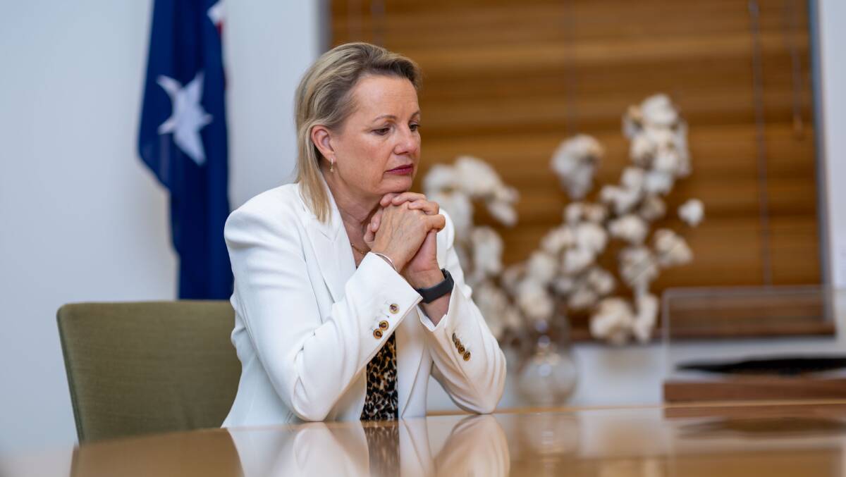  Deputy Leader of the Opposition Party Sussan Ley. Picture by Gary Ramage