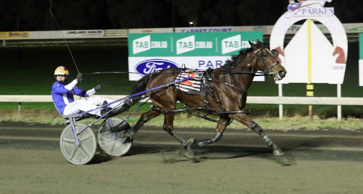 Blake Medlyn securing his first treble at Parkes Harness Racing Club on May 5, 2024, aboard Teneachway. Picture by Coffee Photography and Framing