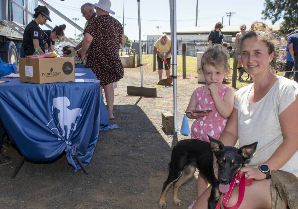 Kerriann Swinton and daughter Zoey Swinton with Nelly, their kelpie who was chipped and vaccinated at the Animal Welfare League's vet truck. Picture by Belinda Soole