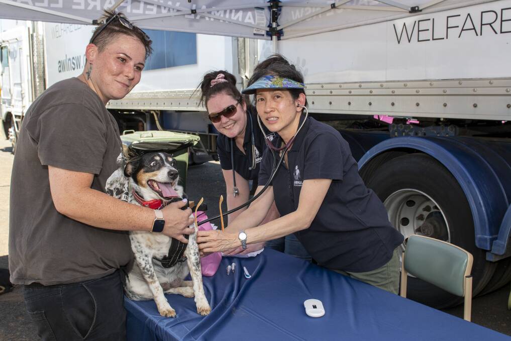 Marnie Lea's dog Bella gets a check up from vet bus staff Lydia de le Motte and Shannon Hobday. Picture by Belinda Soole