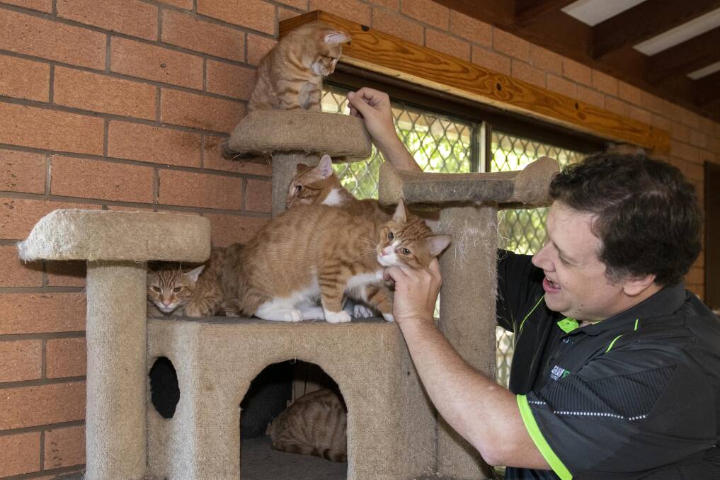 IT specialist Justin Root says fostering animals is a rewarding experiences, he urges others to get involved. Picture by Belinda Soole