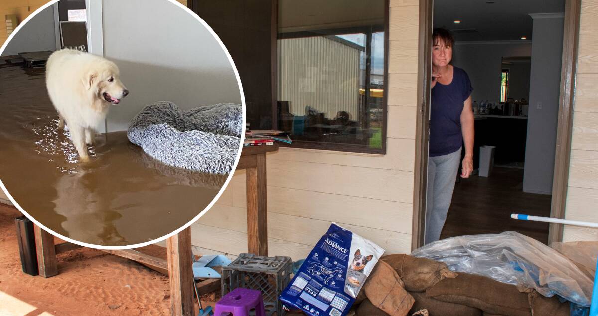 Jennifer Block in her home which was inundated with water on the weekend. Picture by Belinda Soole, inset supplied