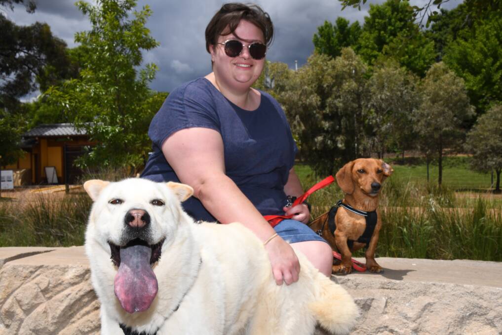 Dubbo local Leigh (pictured with Belle and Stanley) would like to see the laws around renting changed to make it easier for pet owners to find a rental. Picture by Amy McIntyre