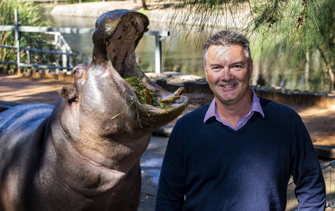 Taronga Western Plains Zoo director Steve Hinks with one of the zoo's resident hippos. Photo supplied