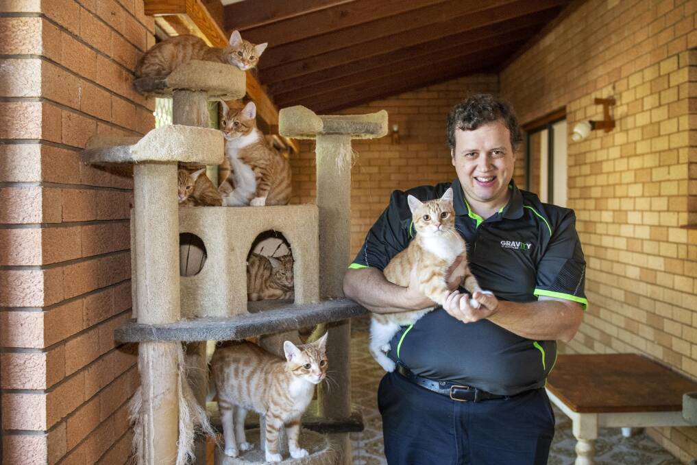 Animal Welfare League foster carer Justin Root with some of the eight cats in his care, all are up for adoption. Picture by Belinda Soole