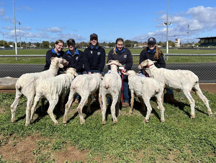 Tottenham Central School agriculture students take part in the NSW School Merino Wether Challenge in Dubbo last year. Picture via Facebook/Tottenham Central School