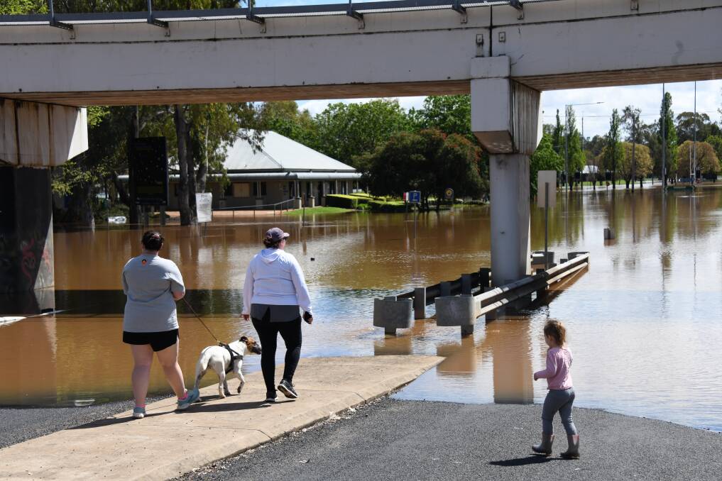 Residents check out the river levels near the Dubbo visitor information centre on the weekend. Picture by Amy McIntyre