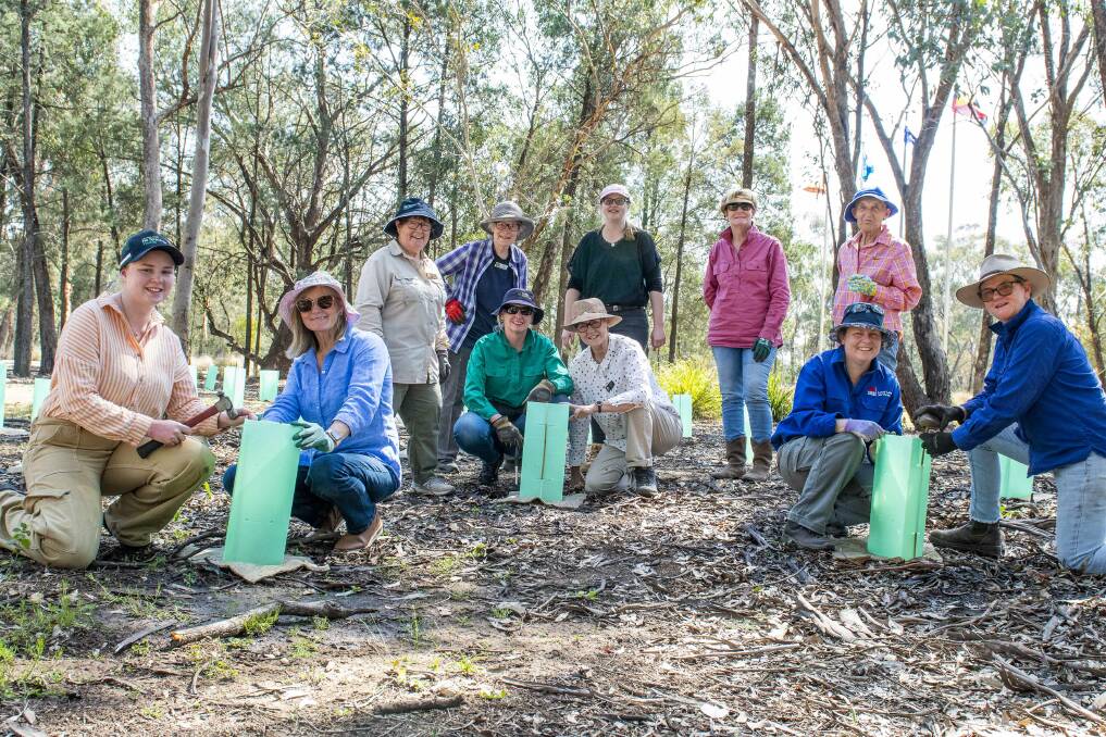 Volunteers from Dubbo River Care, Dubbo Field Nats, Private Landholders and staff from the Zoo, Local Land Services and DPE Staff. Picture by Belinda Soole