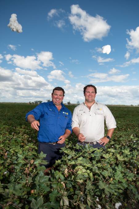 CHAMPS: Brothers Tom and George Quigley, Quigley Farms, Trangie, accepted the Bayer Cotton Grower of the Year 2021 award at the recent MacIntyre Valley Cotton field day. Photos: Brandon Long