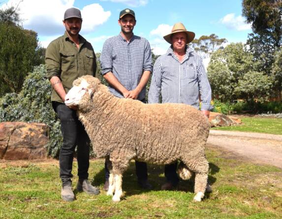 The $12,000 top-priced Charinga ram with buyer Shaun Counsel, Warrening Gully Farm, Williams, WA, Lenny Polkinghorne, and Charinga stud principal, Roger Polkinghorne. Picture: Alastair Dowie